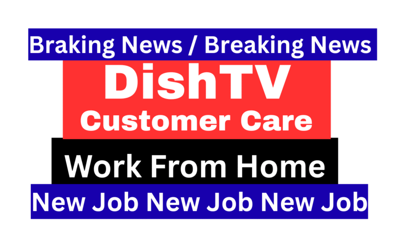 DishTv Job