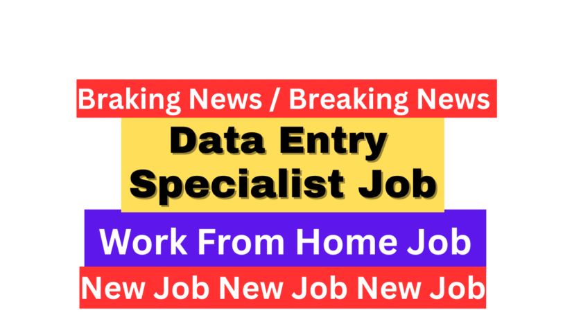 Data Entry Work From Home Jobs 2025