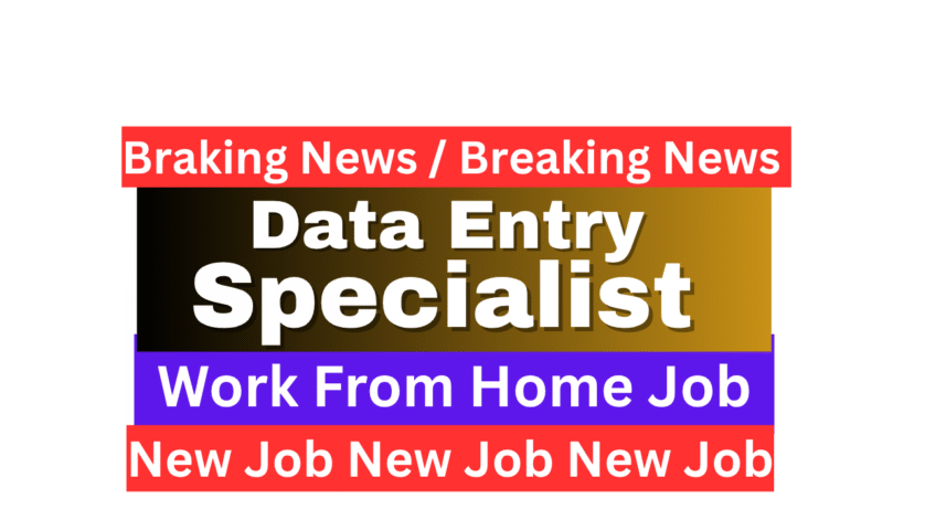 Data Entry Specialist Remote Job Oct'25