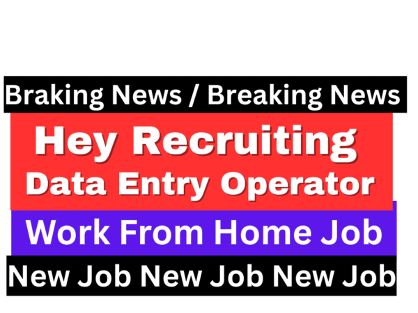 Data Entry Operator Remote Job