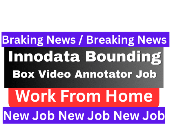 Innodata Bounding Box Video Annotator Job 2025