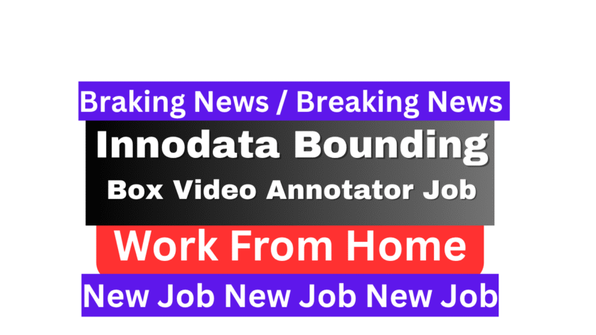 Innodata Bounding Box Video Annotator Job 2025
