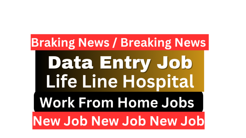 Life Line Hospital एक हेल्थकेयर डेटा एंट्री ऑपरेटर मरीजों के डेटा को मैनेज करते हुए, लाइफ लाइन हॉस्पिटल के लिए रिमोट वर्क