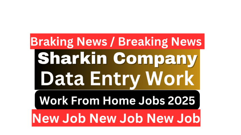 Sharkin एक डेटा एंट्री सपोर्ट एडमिन पेशेवर होम ऑफिस से लैपटॉप पर काम करते हुए, शार्किन प्राइवेट लिमिटेड के लिए रिमोट वर्क