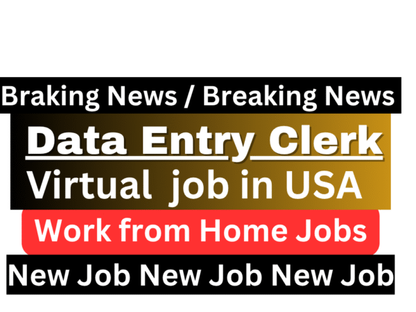 Career progression infographic for Data Entry Clerk at JLS ApS showing growth from entry-level to management