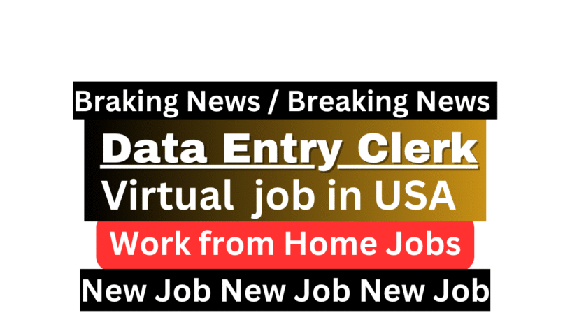 Career progression infographic for Data Entry Clerk at JLS ApS showing growth from entry-level to management