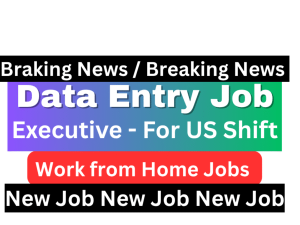 Data Entry Executive US Shift job at Zclus India - Work from home remote job for freshers with advanced Excel skills