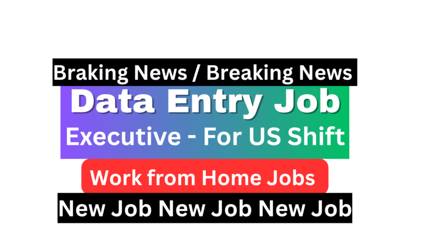 Data Entry Executive US Shift job at Zclus India - Work from home remote job for freshers with advanced Excel skills