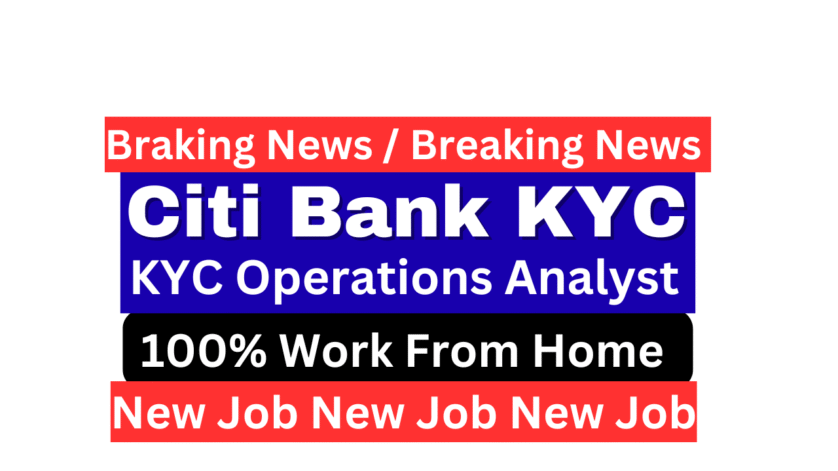 Citi Bank एक KYC ऑपरेशंस एनालिस्ट सिटी बैंक के लिए वर्क फ्रॉम होम से लैपटॉप पर क्लाइंट डेटा वेरिफिकेशन का काम करते हुए