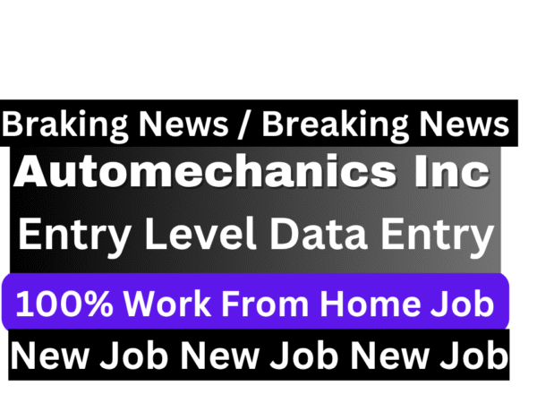 Entry Level Data Entry remote job at Automechanics India - work from home data entry operator position for freshers