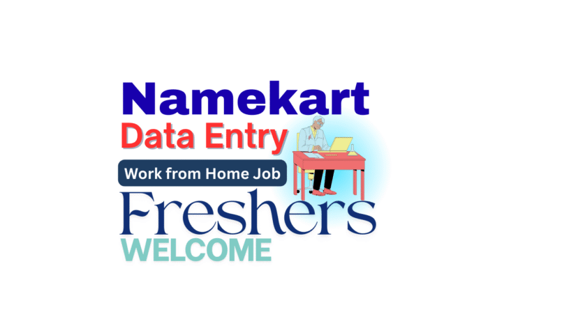 Namekart A data entry intern working on MS-Excel spreadsheet from home for Namekart's work from home internship with job offer.