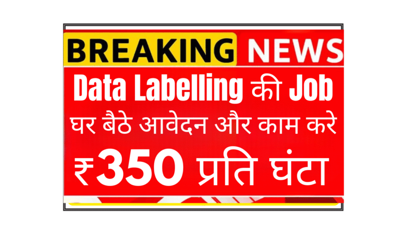 How Data Labelling Works in AI Training | Freelance Data Labelling Process | Content Annotation for Machine Learning | Innodata India