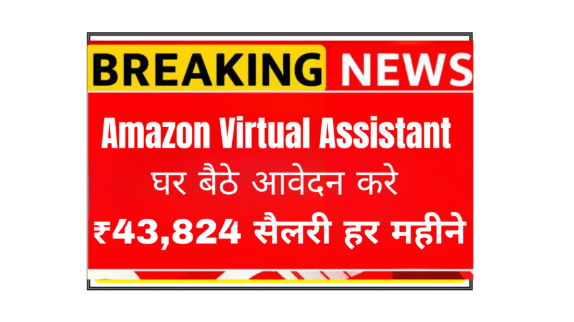 Amazon Virtual Assistant work from home jobs India - Excelsior Group hiring remote ecommerce professionals
