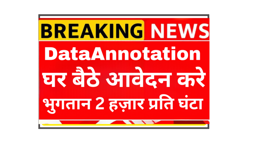 DataAnnotation Customer Service Specialist remote job in India paying 22 USD per hour.