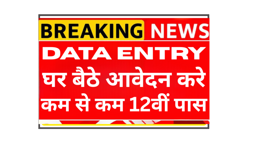 Professional Data Entry Specialist working remotely for Sambodhi Research India.