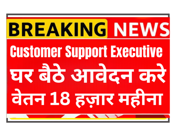 Customer Support Executive Work From Home Job in Delhi | Hindi & English Required | Freshers Can Apply | Shining Stars Institution & Travels Hiring 2025