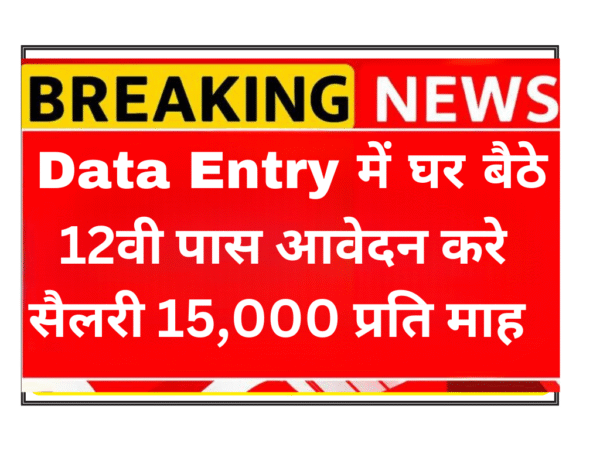 Remote data entry contractor job for travel startup in India work from home