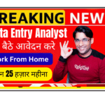 Data Entry Analyst working remotely from home in India with dual monitors showing Excel sheets and database software