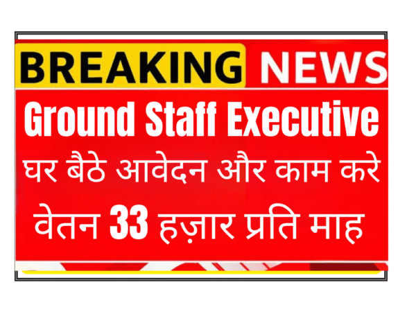 Ground Staff Executive Remote Job India | Airport Operations Work From Home | Aviation Career | Fly Free Journeys LLC Hiring