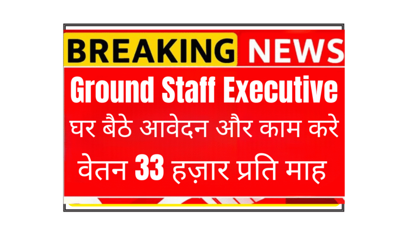 Ground Staff Executive Remote Job India | Airport Operations Work From Home | Aviation Career | Fly Free Journeys LLC Hiring