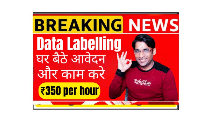 Data Labelling Specialist working remotely from home in India analyzing and tagging content on dual monitors