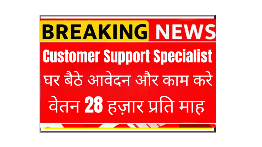 Work From Home Customer Support Specialist Job Work from home customer support executive job for freshers in India - smiling professional working remotely