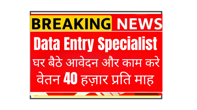 Remote SaaS Data Entry Specialist working from home in India - Eqvista career opportunity for finance professionals