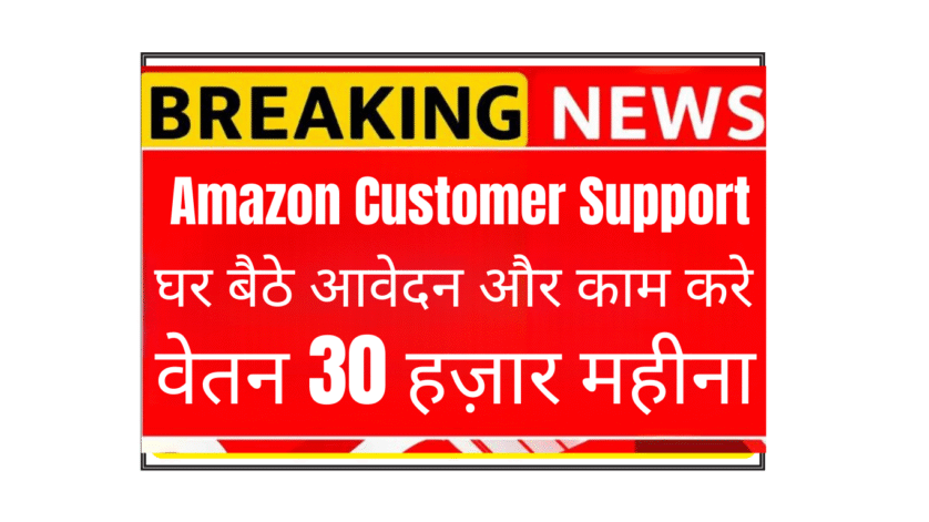 Amazon Virtual Customer Support Associate work from home job in Delhi - professional solving customer queries remotely chat