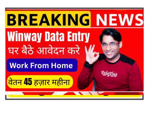Winway Consultancy data entry executive job work from home India 4 to 6 LPA salary freshers 20 vacancies MS Excel required 2026