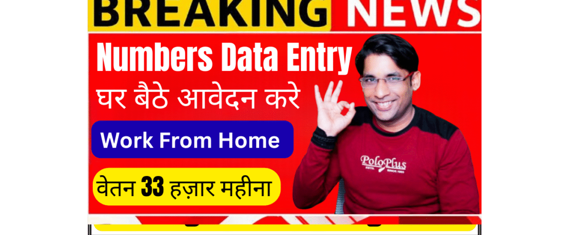Zorvyn data entry operator job India 4 LPA salary work from home freshers welcome fintech company remote job 2026