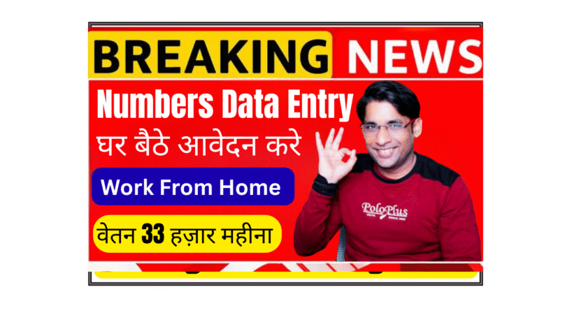 Zorvyn data entry operator job India 4 LPA salary work from home freshers welcome fintech company remote job 2026