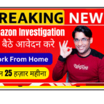 Investigation Associate Amazon working on transaction risk analysis and fraud detection on computer screen