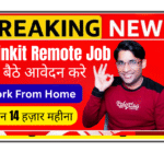 Customer care executive working from home on laptop with headset handling Blinkit voice calls for delivery partners India