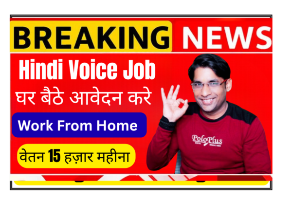 Customer Support Executive Work from Home Nexus Consulting Solutions Delhi 2026 Hindi language job 12th pass fresher remote India