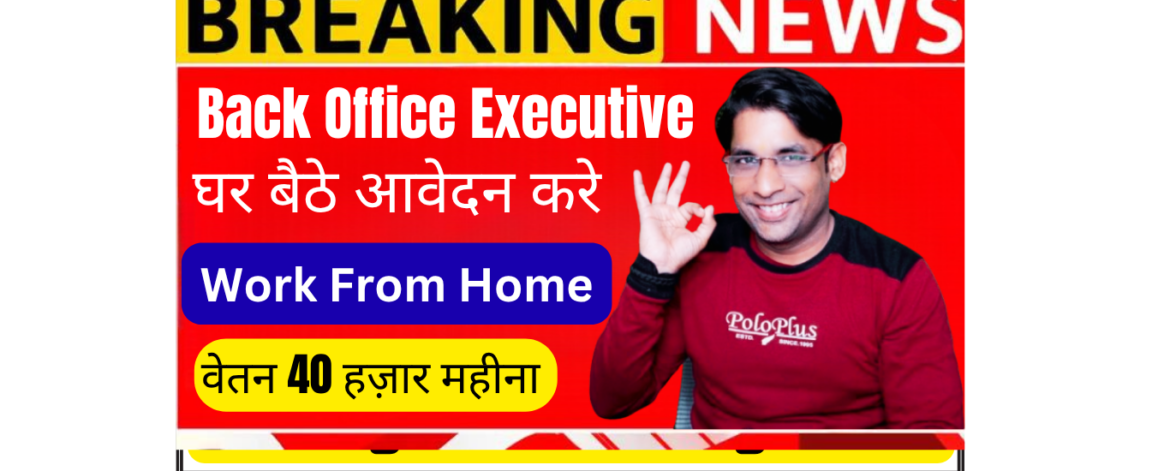 Back office executive working from home on laptop with data analysis dashboard and backend code for travel company Desnor Destination part time job India