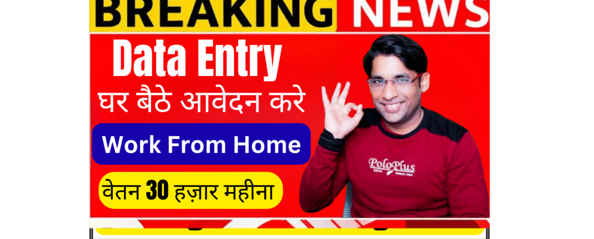 Data entry intern working from home on laptop with Microsoft Excel spreadsheet and pivot table Winzonesoftech internship India