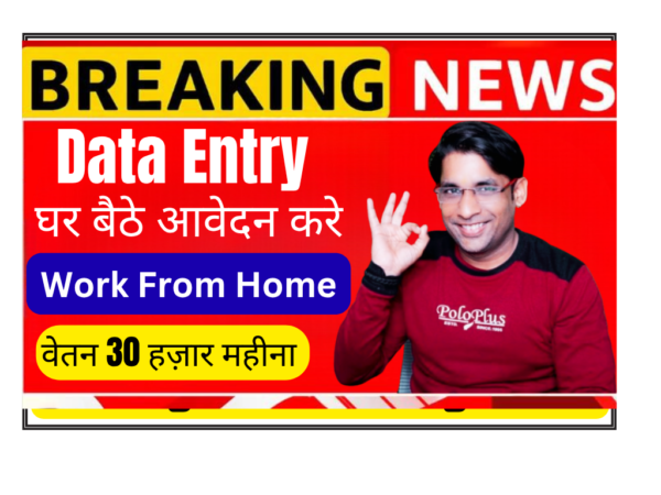 Data entry intern working from home on laptop with Microsoft Excel spreadsheet and pivot table Winzonesoftech internship India