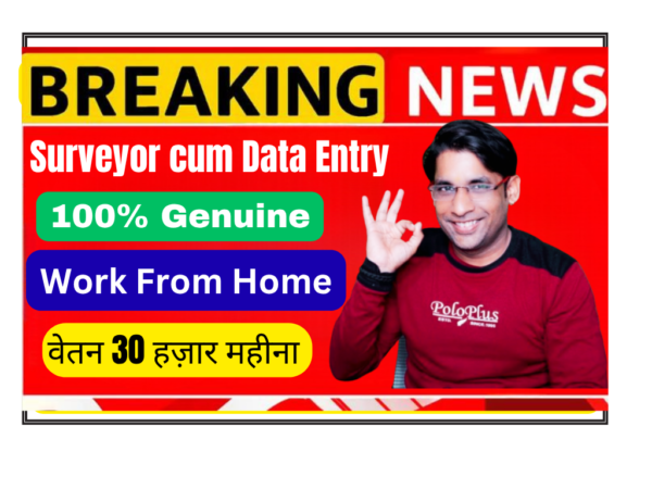 Remote Surveyor cum Data Entry Operator job at Intechnative Systems & Services, work from home, freshers welcome.