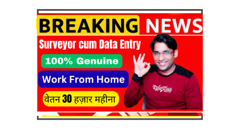 Remote Surveyor cum Data Entry Operator job at Intechnative Systems & Services, work from home, freshers welcome.