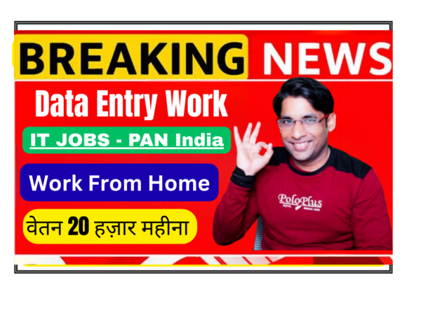 "Remote Data Entry Work from Home - Easy Online Job for Beginners"
