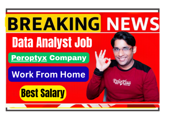 Work from home data analyst job at Peroptyx in India, flexible remote work on a laptop